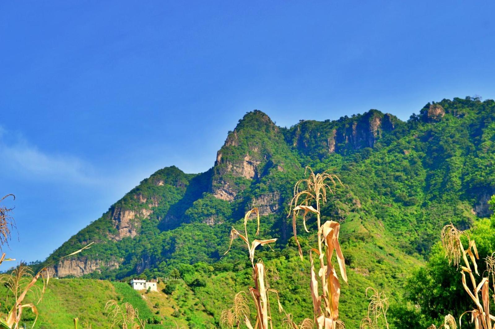 Mundo Abu ซานฮวนลาลากูนา ภายนอก รูปภาพ